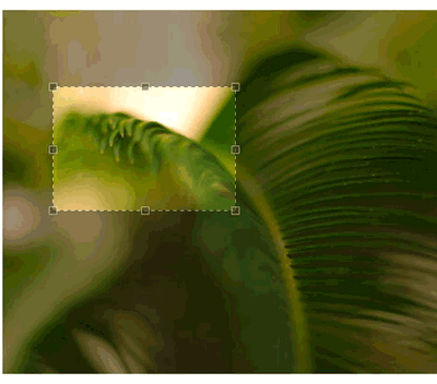 jQuery图像裁剪插件设置图片区域截图效果