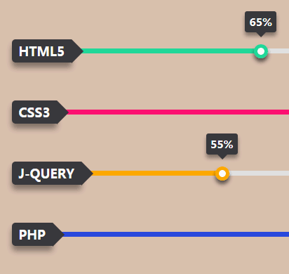 純css3個(gè)人技能進(jìn)度條動(dòng)