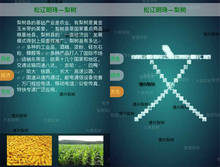 html5 canvas文字自由組合拼接動畫特效