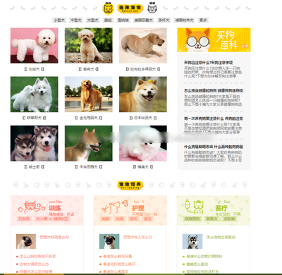 帝国cms系统开发的专业宠物资讯平台网站源码分享，含手机版，带采集功能等