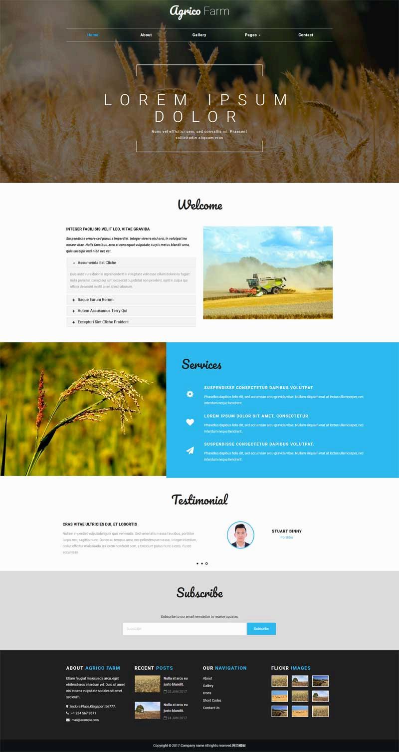 简单宽屏的稻谷农业生产企业网站html模板