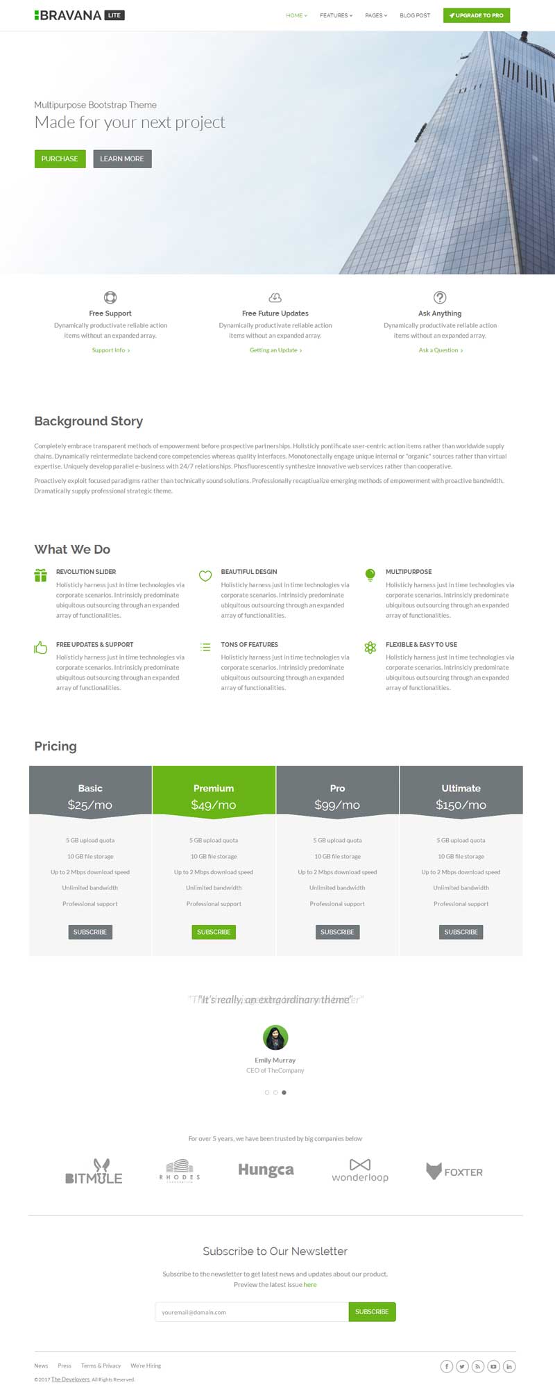 绿色实用的软件开发公司官网模板html整站
