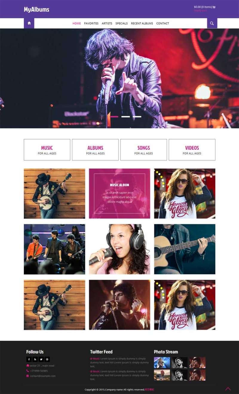 国外流行音乐唱片公司静态网站模板html源码
