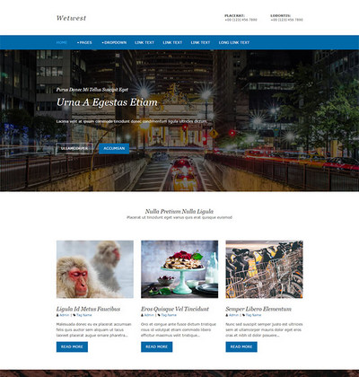 简洁旅行社旅游公司企业网页模板