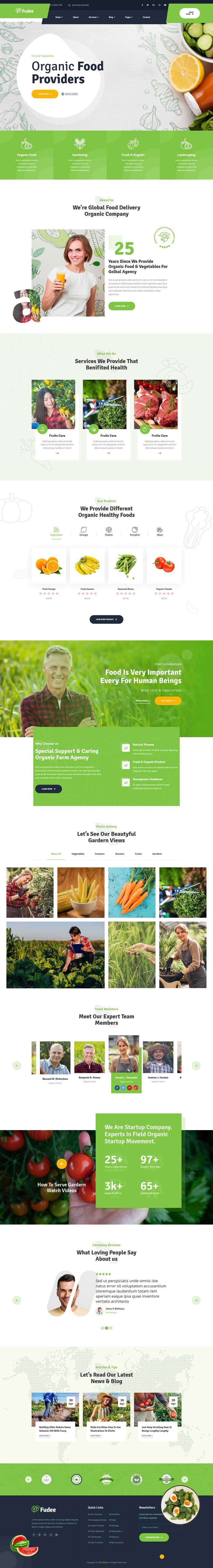 健康饮食绿色健康食品公司html5模板