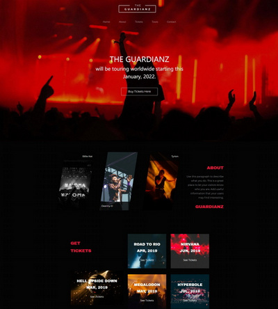 响应式演唱会宣传推广单页html网站模板