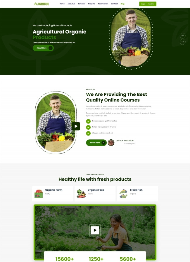 绿色有机蔬菜水果农场网站模板