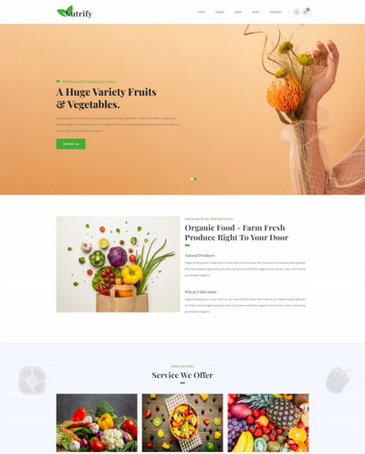 有机水果蔬菜html5网站模板