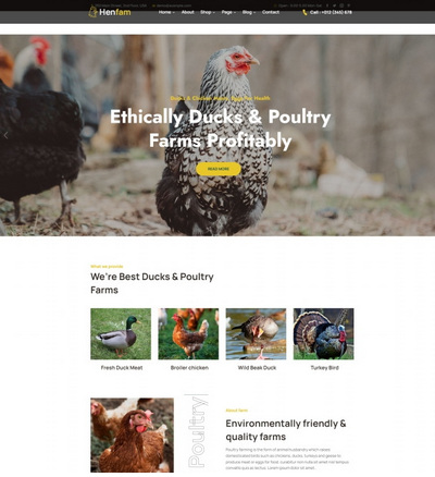 生态农场家禽养殖html5企业模板