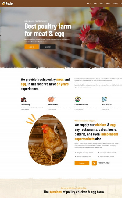 多风格家禽养殖场响应式网站模板