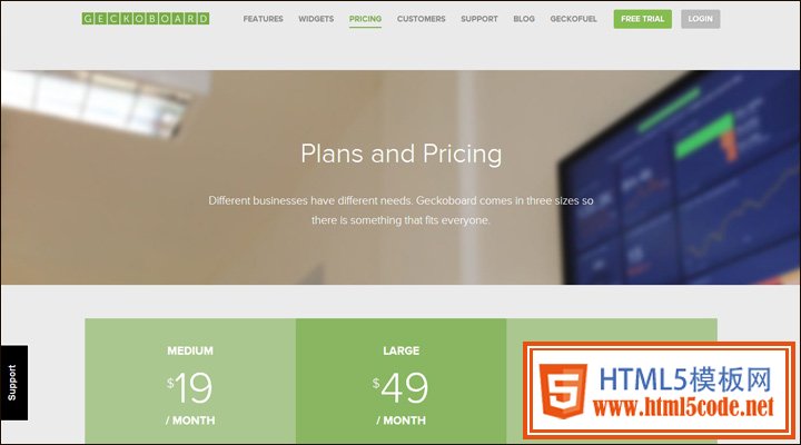 damndigital_21-examples-of-pricing-pages-in-web-design_geckoboard_2013-05
