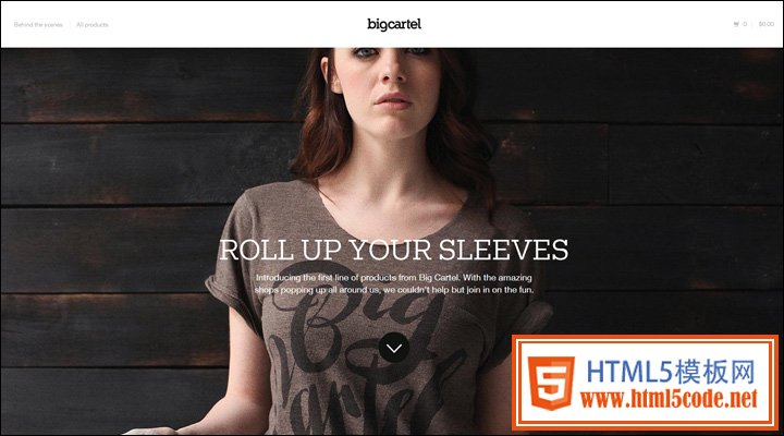 damndigital_21-inspiring-examples-of-big-images-in-web-design_big-cartel-shop