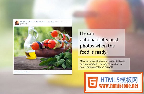 The Facebook Grill in 35 Minimalistic Website Designs for December 2013