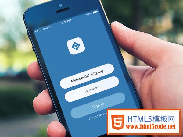 网页与App中那些优美的登陆表单