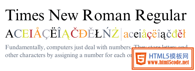 Times New Roman: one of the most common fonts out there. 