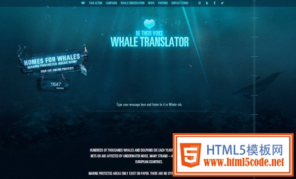 Whale Translator