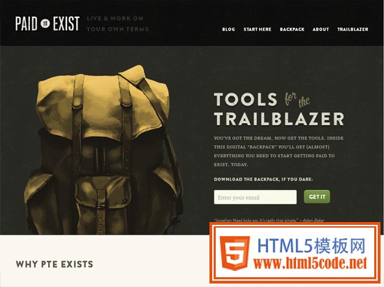 Textured website design example: Paid to Exist