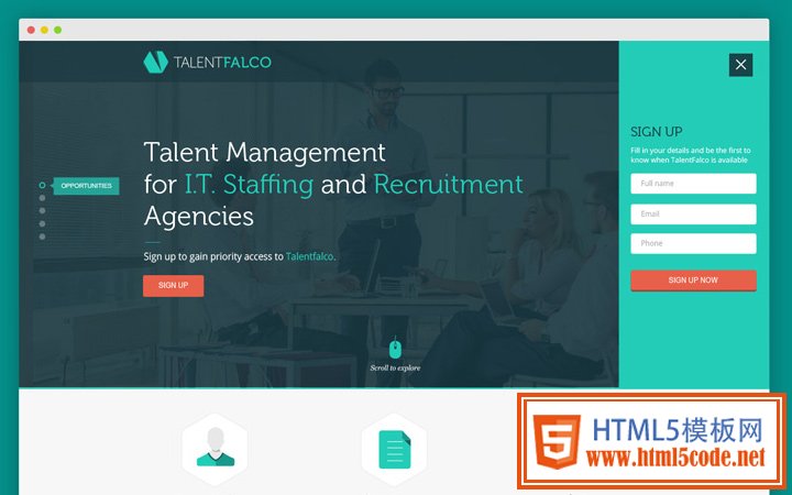 talent falco homepage landing page design